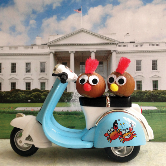 A Couple of Nuts in DC Postcard