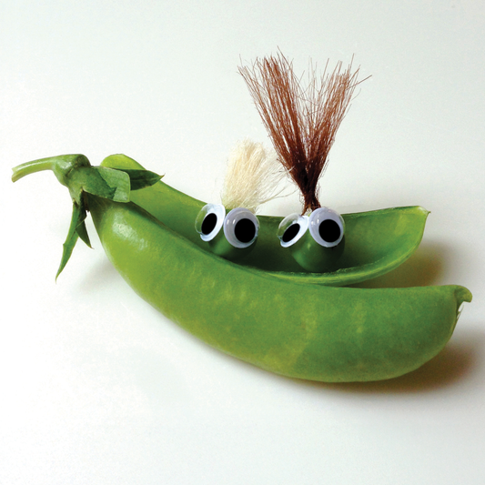 Two Peas in a Pod Travel Pouch