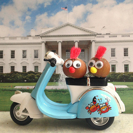 Two nut tourists riding moped by the White House in DC