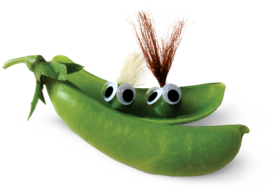Two Peas in a Pod Travel Pouch