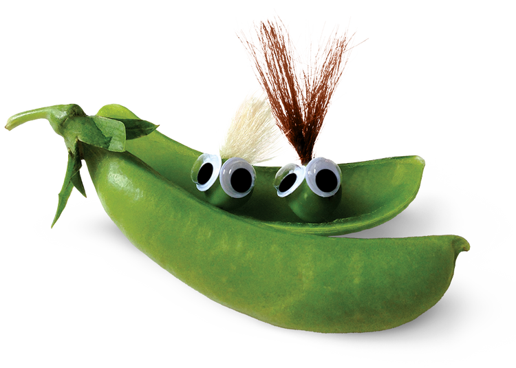 Two Peas in a Pod Travel Pouch