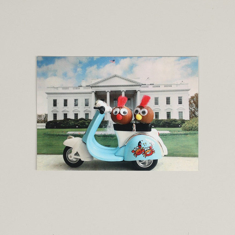 A Couple of Nuts in DC Postcard